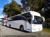 A.C. Mixta de Transporte Tchira Mrida R.L. 0818 Carroceras Urea Platinum Chevrolet LV-152