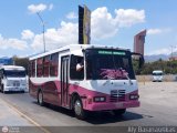 A.C. R�mulo Gallegos 49