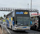 E.T. Maleo VIP (Per) 954