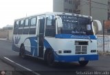 ZU - Colectivo Pomona 00