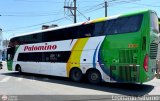 Expreso Internacional Palomino 7001