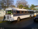 Sin identificacin o Desconocido JA0001 Blue Bird All Canadian Blue Bird Diesel 01