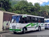 DC - Unin Conductores de Antimano 245