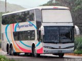 Unin Conductores Ayacucho 2076