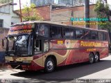Panamericana Internacional 163