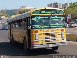ZU - Colectivos Concepcin 031