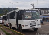 TA - A.C. Autos por puesto L�nea Palmira 031