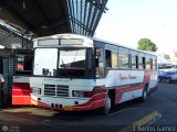 Expresos Horizonte 00 Marcopolo Veneza II Fiat 130 OD