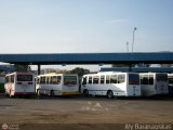 Garajes Paradas y Terminales Maracay, por Aly Baranauskas