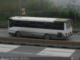 MI - Transporte Colectivo Santa Mara 10