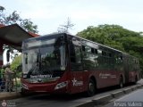 AR - TransMaracay 4567