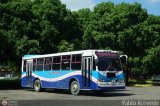 Transporte Frontera 41