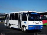 Transporte Virgen del Carmen 12 Encava Nuevo E-NT900 Encava Isuzu Serie 600