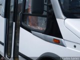 Detalles Acercamientos NO USAR MS 06 CAndinas - Carroceras Andinas Pana Urbe Iveco Serie TurboDaily