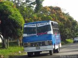 Colectivos El Viga 23