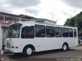 Uso Oficial  999, por Sebastin Mercado