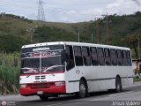 Transporte Bonanza 0029