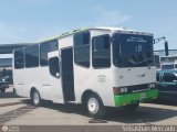 A.C. Transporte San Alejo 25