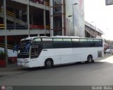 Bus Ven 3100