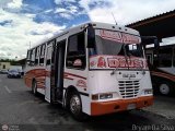 Lnea Tocar S.C. 42
