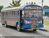 Transporte Palo Negro La Morita 2 102