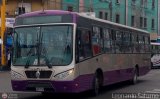 Consorcio del Corredor Morado (Per) 856