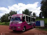 Transporte Tren al Sur C.A. 10