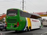 Expreso Internacional Palomino 7054