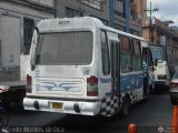 MI - Unin de Transportistas San Pedro A.C. 49 Carroceras Urea Urbano Micro Chevrolet NPR Turbo Isuzu