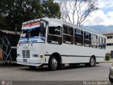 Asociacin Civil Lnea Unin Cordero 091, por Brayan Morales 