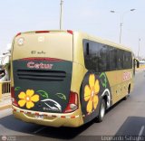 Cetur S.R.L. 956, por Leonardo Saturno