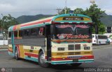 Expresos Gige 15 Blue Bird All Canadian Blue Bird Diesel 01