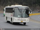 SENIAT 03 Ayco Cosmopolitan International 3000RE