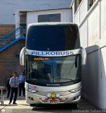 Transportes GM Internacional (Per) 967