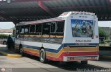 Colectivo San Rafael (El Mojn) 21