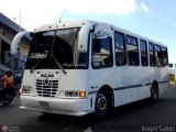 S.C. L�nea Transporte Expresos Del Chama 173