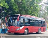 A.C. Bus Palmar R.L. 003, por Josue Snchez