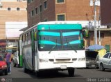 A.C. de Transp. de Pasajeros Chichirivichi R.L. 37 Caio - Induscar Alpha Mercedes-Benz OH-1420