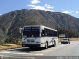 Colectivo Los Andes (Mrida - El Vigia) 26, por Leonardo Saturno