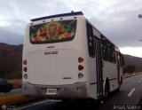 U.C. Caracas - Los Caracas 527, por Jesus Valero