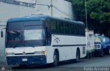 Expresos Los Andes 05, por Pablo Acevedo