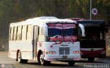 Coop. de Transporte Coromoto 71