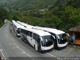 Garajes Paradas y Terminales Tabay