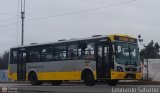 Per Bus Internacional - Corredor Amarillo 2017, por Leonardo Saturno