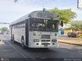ZU - Ra�l Leoni 12
