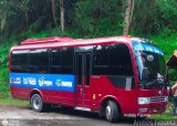 Uso Oficial  00, por Andrs Figuera