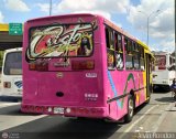 A.C.C. Caicara Amazonas 002