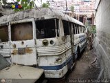 En Chiveras Abandonados Recuperacin  por Jose Alberto Serra Mata