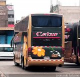 Cetur S.R.L. 951