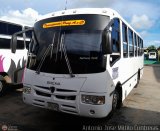 A.C. Transporte Paez 019, por Antonio Jose Mittilo Contreras